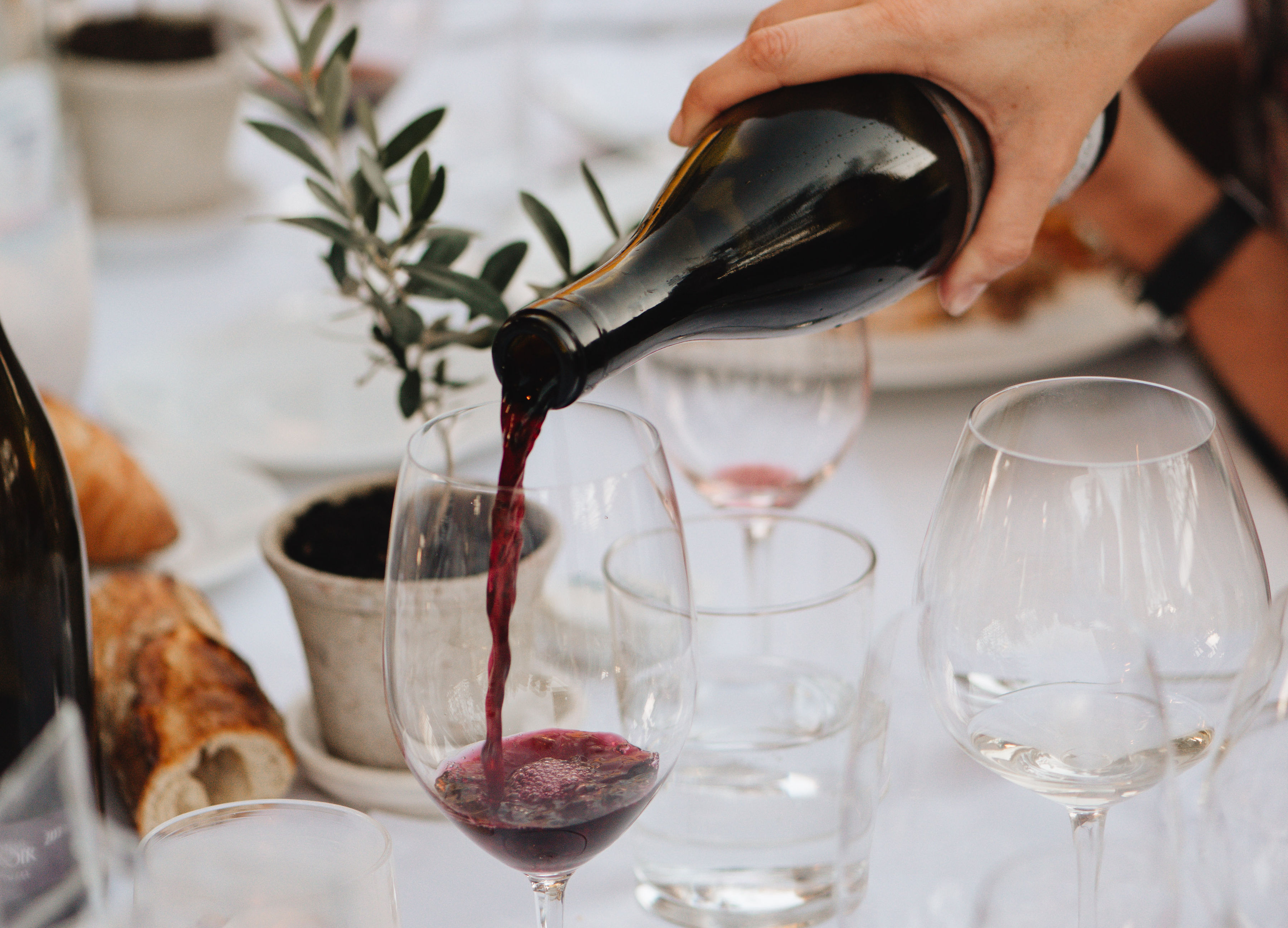 Seven Habits of Highly Effective Wine Pairings | The Nashville Edit